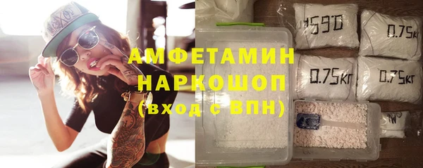 стаф Алзамай