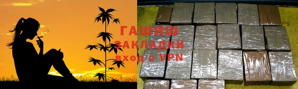 стаф Алзамай