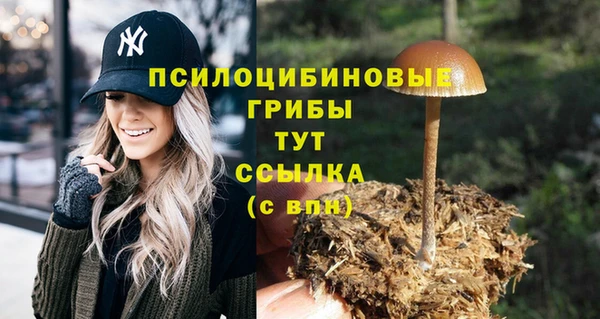 скорость Алексин
