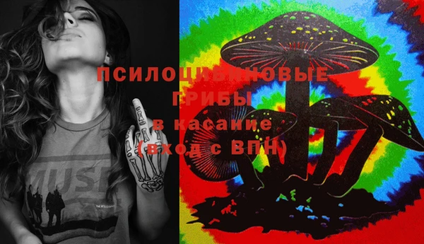 стаф Алзамай