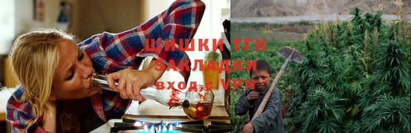 стаф Алзамай