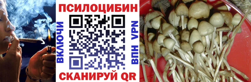 Галлюциногенные грибы Magic Shrooms  Саров 