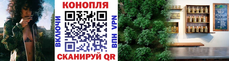 omg как зайти  Саров  Канабис планчик 